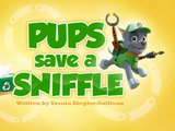 Pups Save a Sniffle