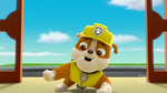 PAW Patrol 314B Scene 31 Rubble