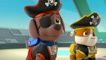 Pirate Pups 21