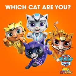 https://static.wikia.nocookie.net/paw-patrol/images/f/f0/Which_cat_are_you.jpeg/revision/latest/scale-to-width-down/250?cb=20220806010708