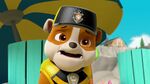 PAW.Patrol.S04E19.Pups.Save.A.Baby.Octopus.1080p.NICK.WEB-DL.AAC2.0.x264-RTN 979720