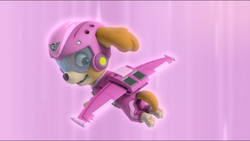 Air online patrol skye