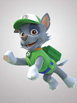 Rocky/Gallery, PAW Patrol Wiki, Fandom