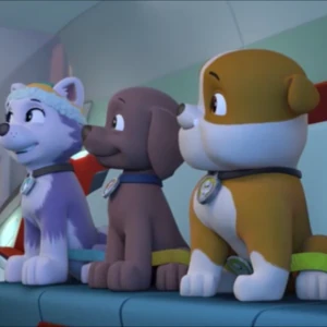 zuma rescue paw patrol