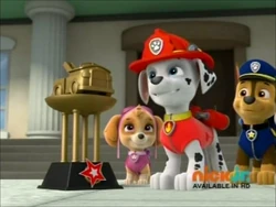 Skye/Gallery/Pups Fight Fire | PAW 