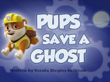 Pups Save a Ghost