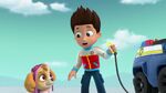 PAW.Patrol.S02E07.The.New.Pup.720p.WEBRip.x264.AAC 1089255