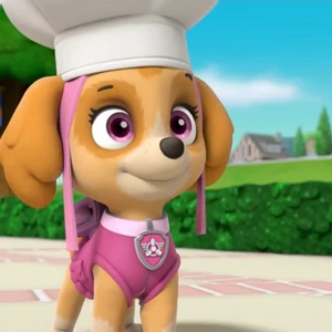 paw patrol pups get a skye