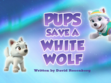 Pups Save a White Wolf