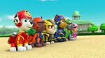 Paw.Patrol.S03E07.Air.Pups.720p.NICK.WEBRip.AAC2.0.H.264-RTN 582868