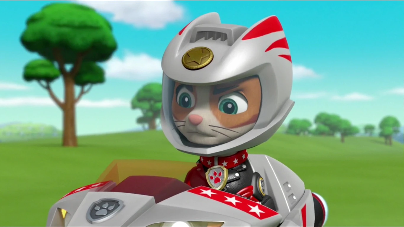 Wild Cat Trivia Paw Patrol Wiki Fandom Wild Cat Trivia Paw Patrol Wiki Fandom