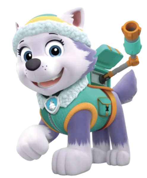 buy everest paw patrol