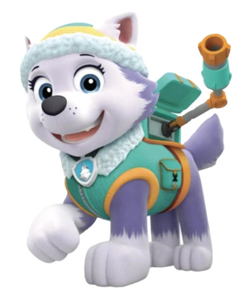 Everest/Appearances | PAW Patrol Wiki | Fandom