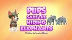 Pups Save the Hiding Elephants (HQ)