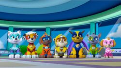 Everest Gallery Mighty Pups Paw Patrol Wiki Fandom