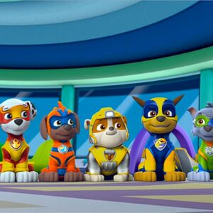 Zuma Gallery Mighty Pups Paw Patrol Wiki Fandom