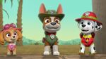 Paw.Patrol.S03E25.Tracker.Joins.the.Pups.720p.WEB-DL.AAC2.0.H264-BTN 1175424