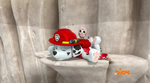 PAW Patrol Pups Save a Lucky Collar Marshall 2