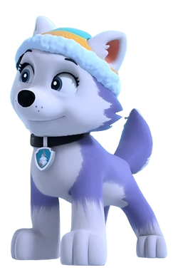 EVEREST PATRULHA CANINA PNG HD  Everest paw patrol, Paw patrol