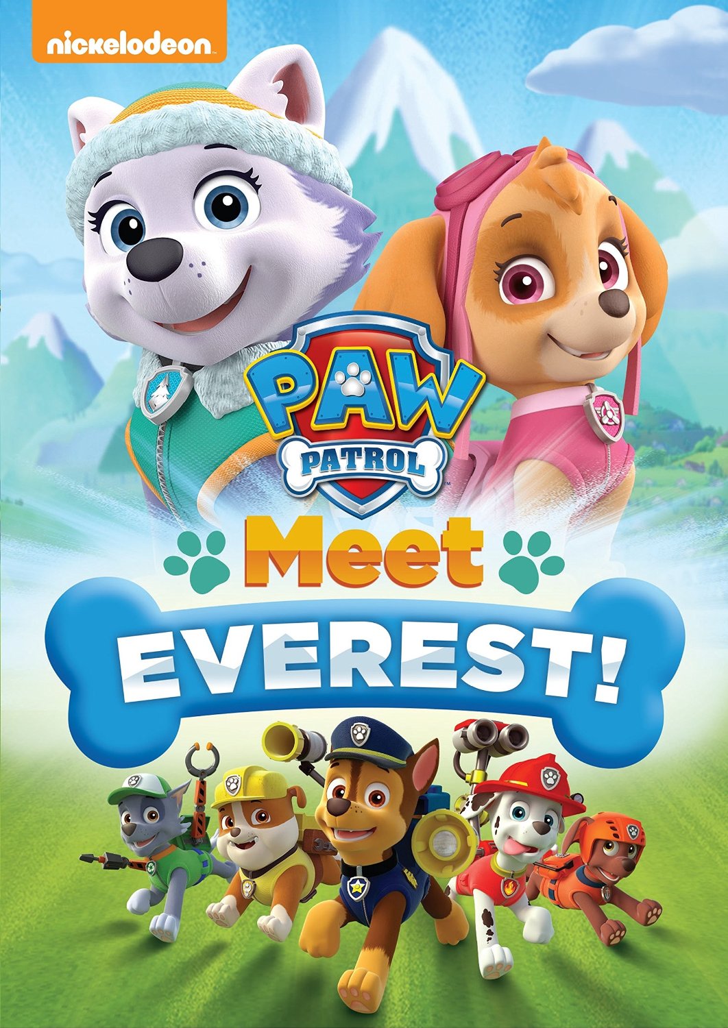 paw patrol air rescue everest