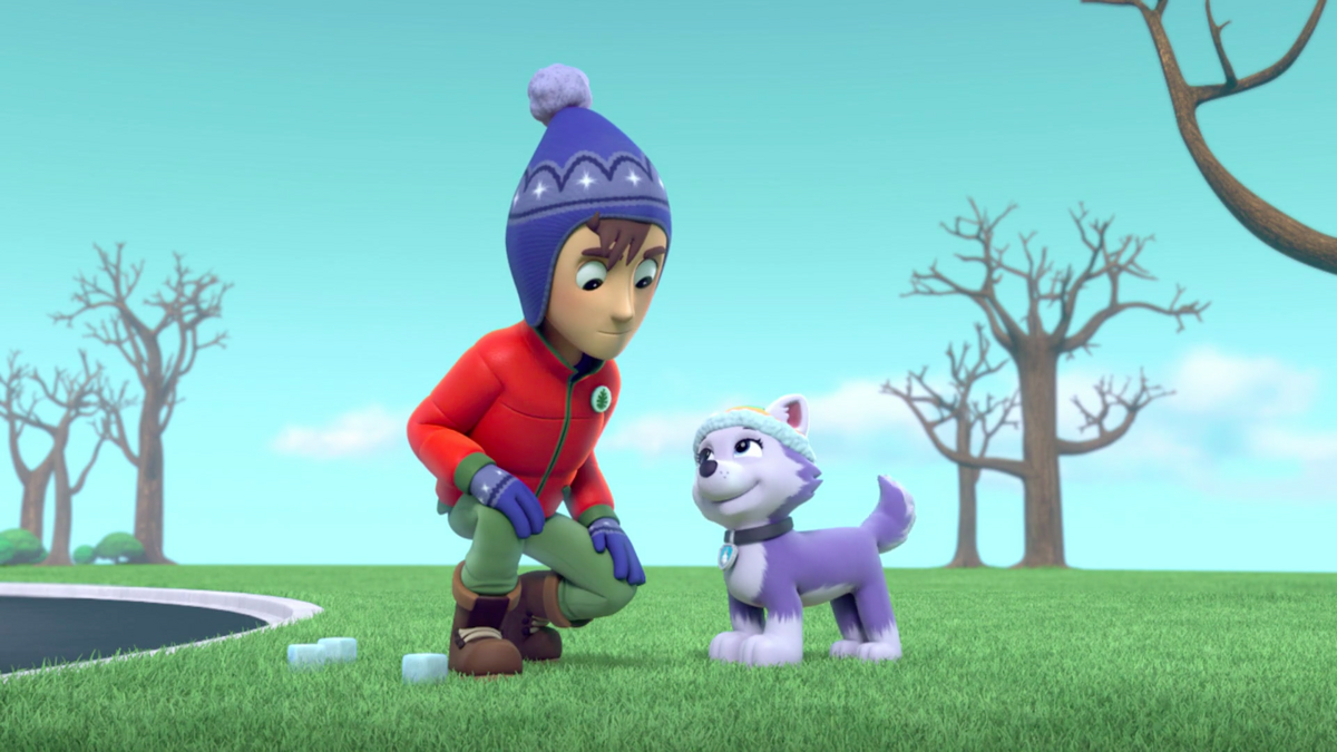 Jake paw patrol sales toy