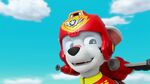 Paw.Patrol.S03E07.Air.Pups.720p.NICK.WEBRip.AAC2.0.H.264-RTN 297423