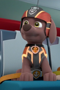 Mission PAW uniform (as of Season 8)