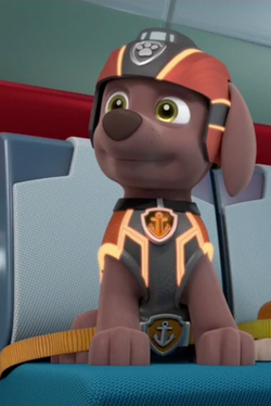 Paw patrol 2025 mission paw zuma