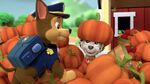 PAW.Patrol.S01E15.Pups.Make.a.Splash.-.Pups.Fall.Festival.720p.WEBRip.x264.AAC 1177143