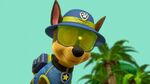 Paw.Patrol.S03E25.Tracker.Joins.the.Pups.720p.WEB-DL.AAC2.0.H264-BTN 516933