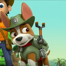 paw patrol characters tracker