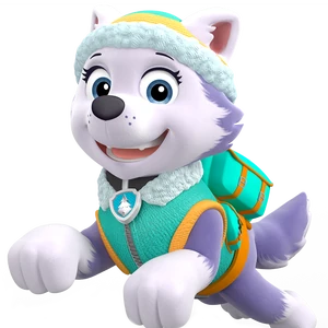 paw patrol skye & everest