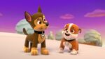 PAW.Patrol.S01E16.Pups.Save.Christmas.720p.WEBRip.x264.AAC 196296