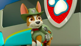 paw patrol pup tracker