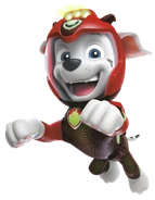 Marshall Aqua Pups gear.png (693 KB) Aqua Pups wetsuit