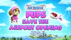 Skye Gallery Air Rescue Pups Save the Airport Opening PAW Patrol Wiki Fandom