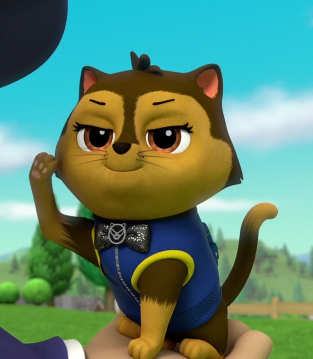 paw patrol cat