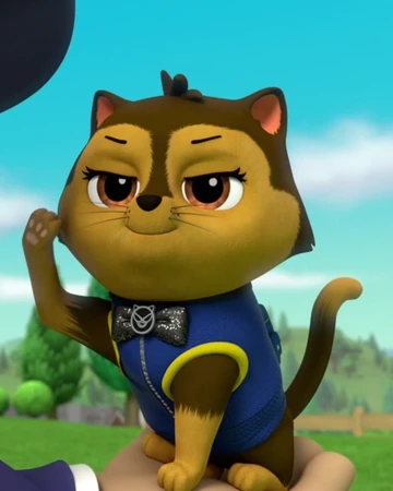 paw patrol kittens toys