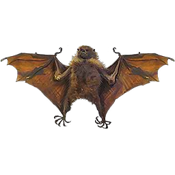 Taxidermy Fruit Bat | Pawn Stars: The Game Wiki | Fandom