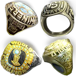 Sports Championship Ring Collection (item)