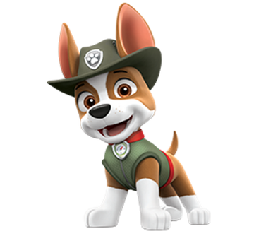 Tracker auto paw patrol clearance