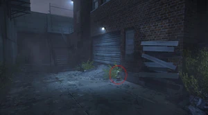 Теневой рейд, в переулке