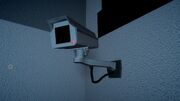 Pdth-cam2.jpg