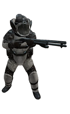 MurDozerReinfeld 880