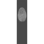 Отпечаток пальца (ориг. Fingerprint) $320,000