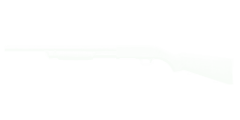 GSPS12G-icon