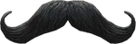 The Super Villain Moustache full