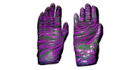 Unknown gloves