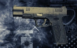 Предварительный просмотр оружия