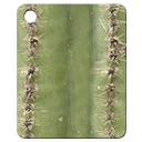 Кактус (ориг. Cactus) Открывается за достижение